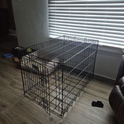 Dog Crate