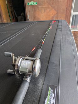 Fishing rod and reel