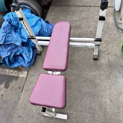 Workout Bench 