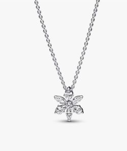 Pandora Silver Zirconia Necklace Earrings 925 Set