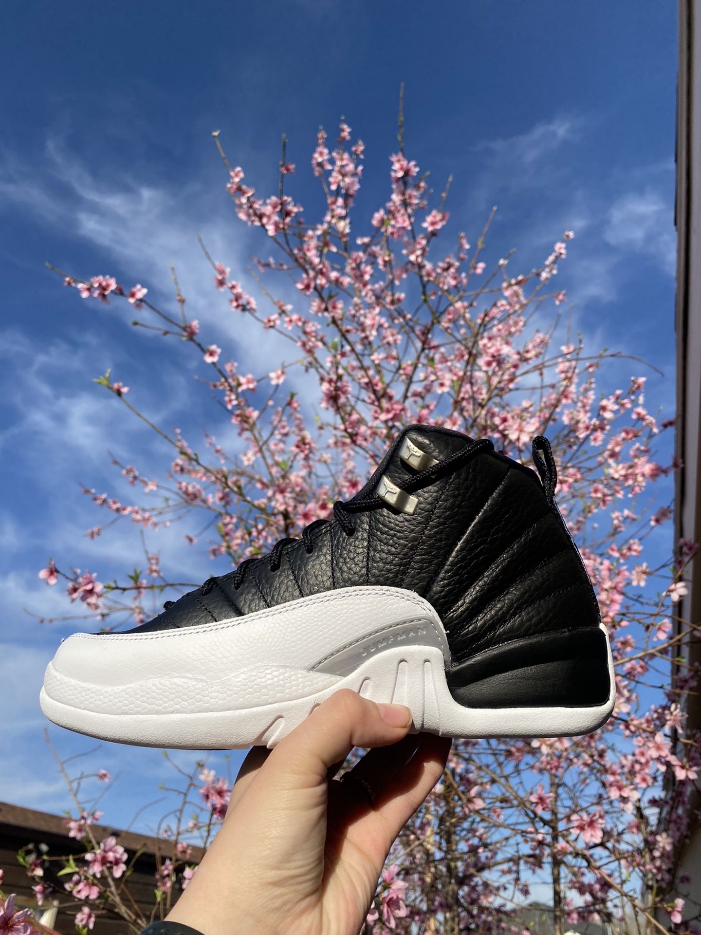 Jordan 12 playoffs