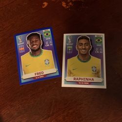 Stickers For Panini Album