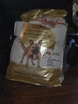 Royal Canin French Bulldog Adult Dry Dog Food 17lb