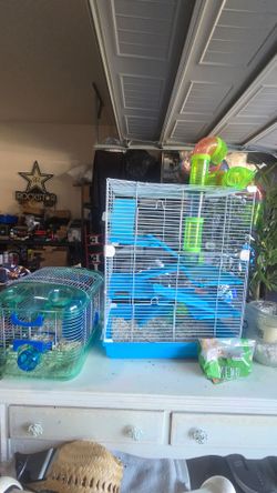 Hamster Supplies