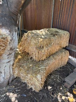 Free straw for chicken coops