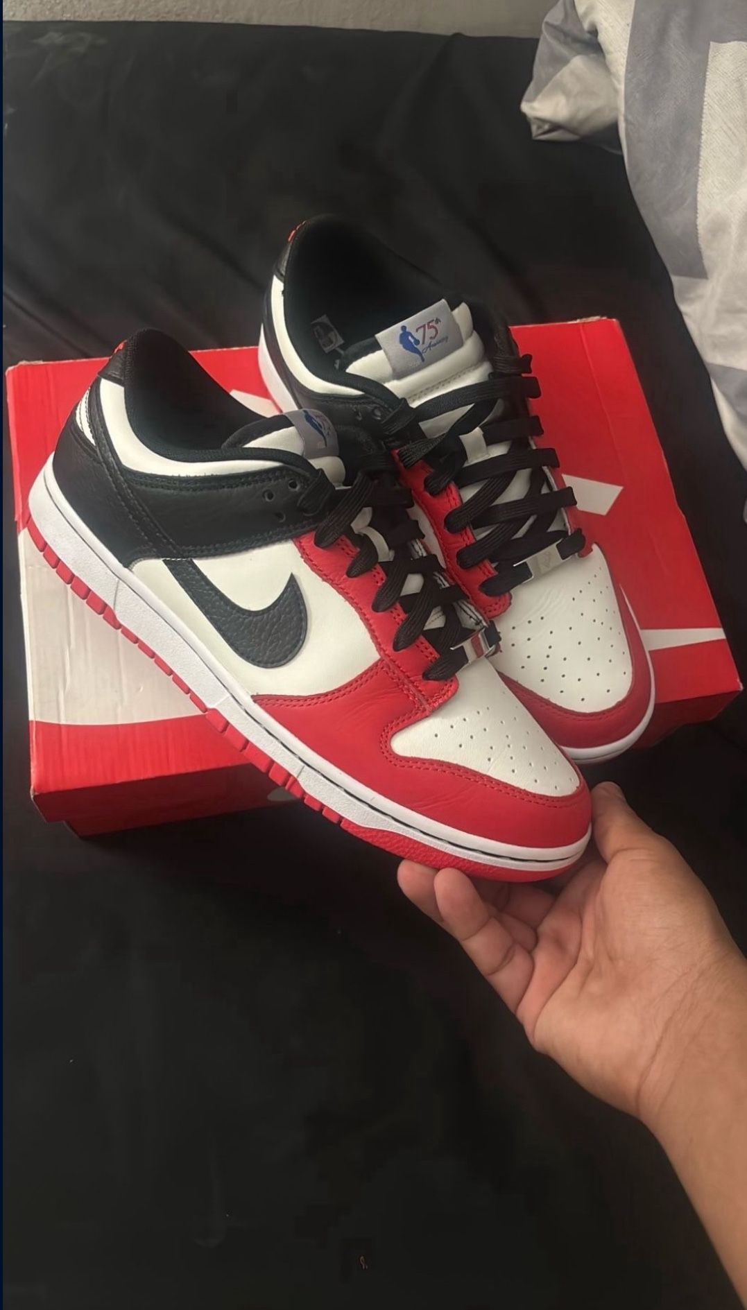 Nike Dunk Low  NBA Chicago