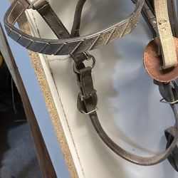 Horse Harness