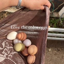 Fresh Eggs 