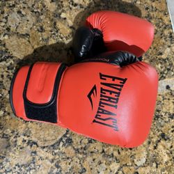 EVERLAST Boxing Gloves