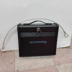 SentrySafe Portable Gun Safe with Key Lock, Steel Cable, and Carrying Handle has a One Handgun Capacity, Gun Safe for Car or Home, PP1K