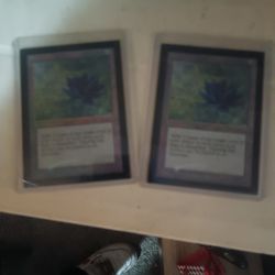 Magic The Gathering Black Lotus