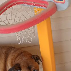 Little Tikes Basketball Hoop
