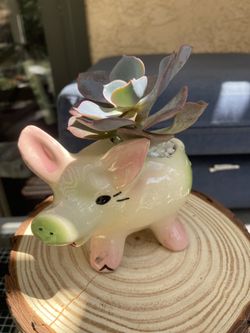 Ceramic Piggy Vase Succulent Arrangement 