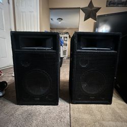 Acoustic Audio Br-10s