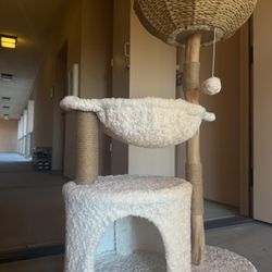 Cat Tree