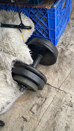 Lots of weights $150 for everything