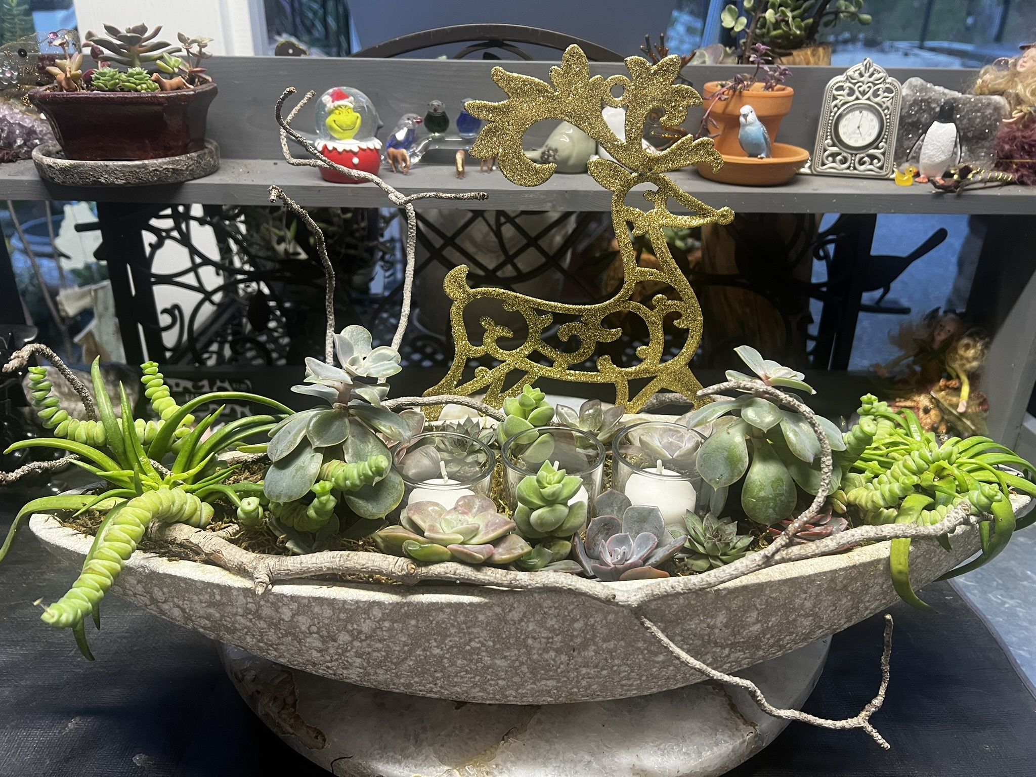 Diamond Succulent Designs