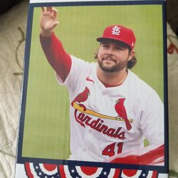 Cardinals Bobblehead 