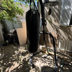 Punching Bag