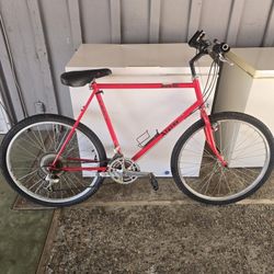 Alpine(vintage) Mountain-Bike $20