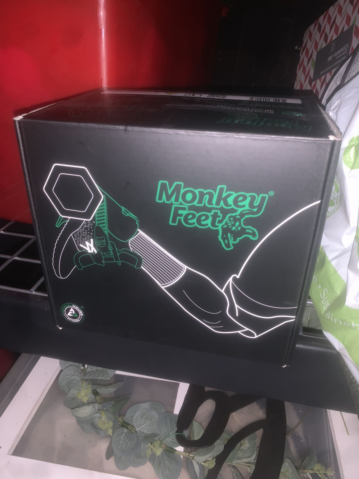 Monkey Feet Exercise 