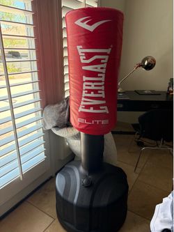 Everlast elite freestanding boxing bag
