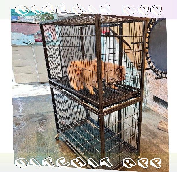 home consider Pet Cages in Various Sizes to Match Every Animal