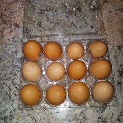 Farm Fresh EGGS $3 Per Dozen 