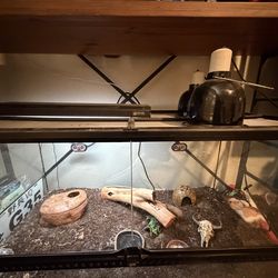 40 gallon Exo Terra reptile tank leopard gecko tank