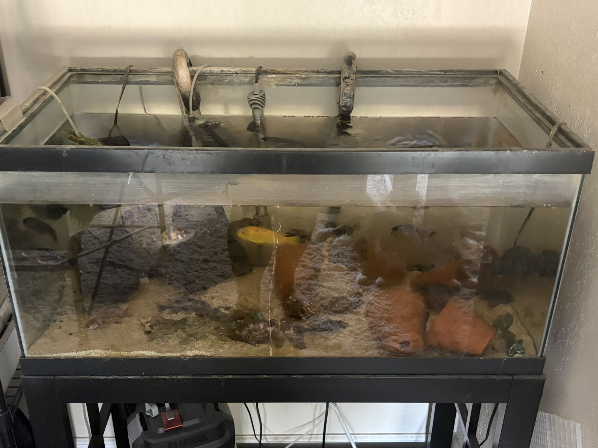 40 Gallon Aquarium