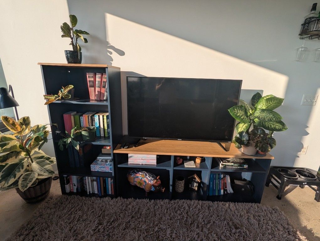TV Stand and Bookcase
