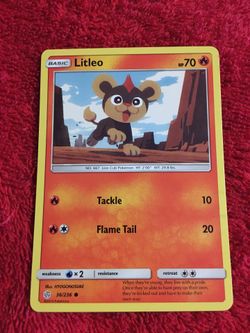 2019 Pokémon