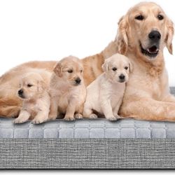 Large Dog Bed, Inflatable  #1026