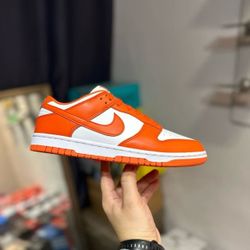 New NIKE shoes men's size 9.5