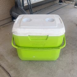 Igloo Coolers