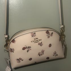 coach ladybug bag