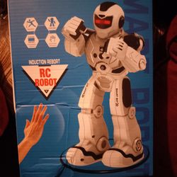 Rc Robot Rechargable