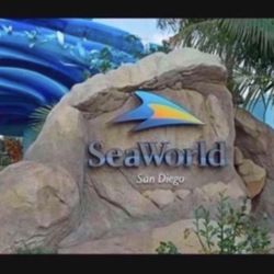 SEAWORLD TICKETS