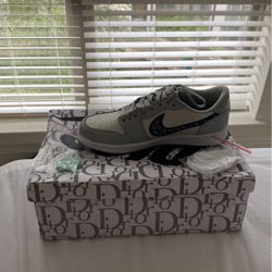 Air Jordan 1 Dior Low