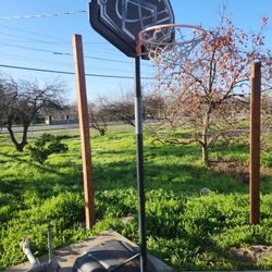 Free Basket Ball Court/hoop