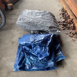 Tarp