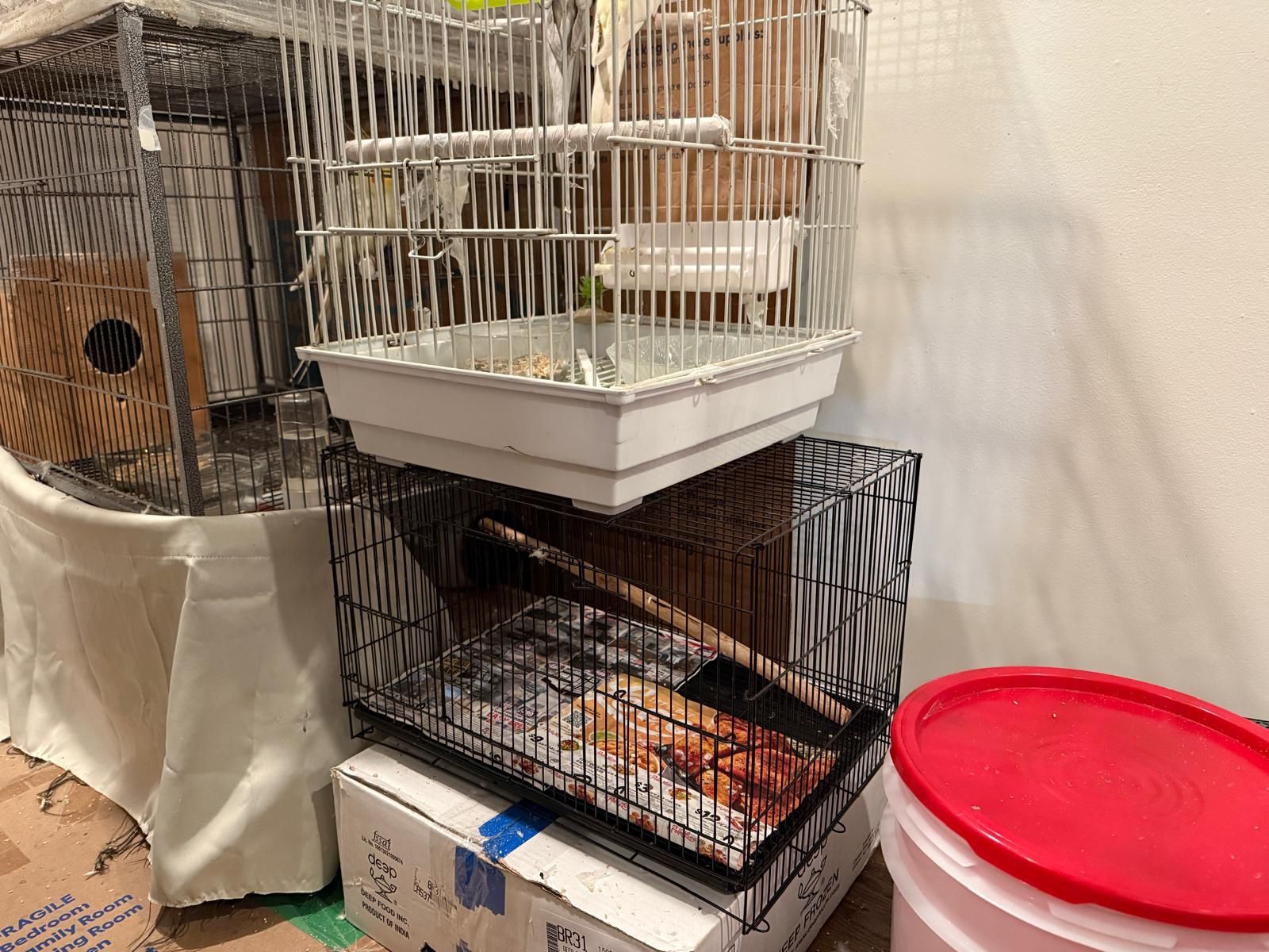 Cage