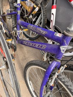 Bicycles. Women