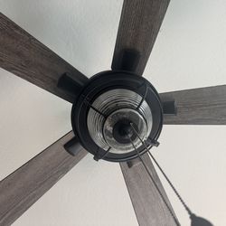 Ceiling fan