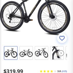 Men 29 in mountain bike