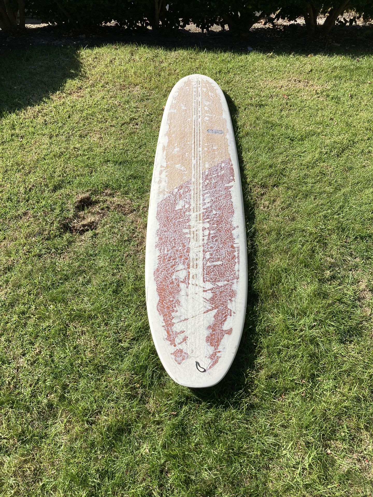 9’6 Almond Surf Thump Longboard Surfboard