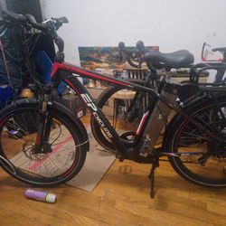 Electric Bike