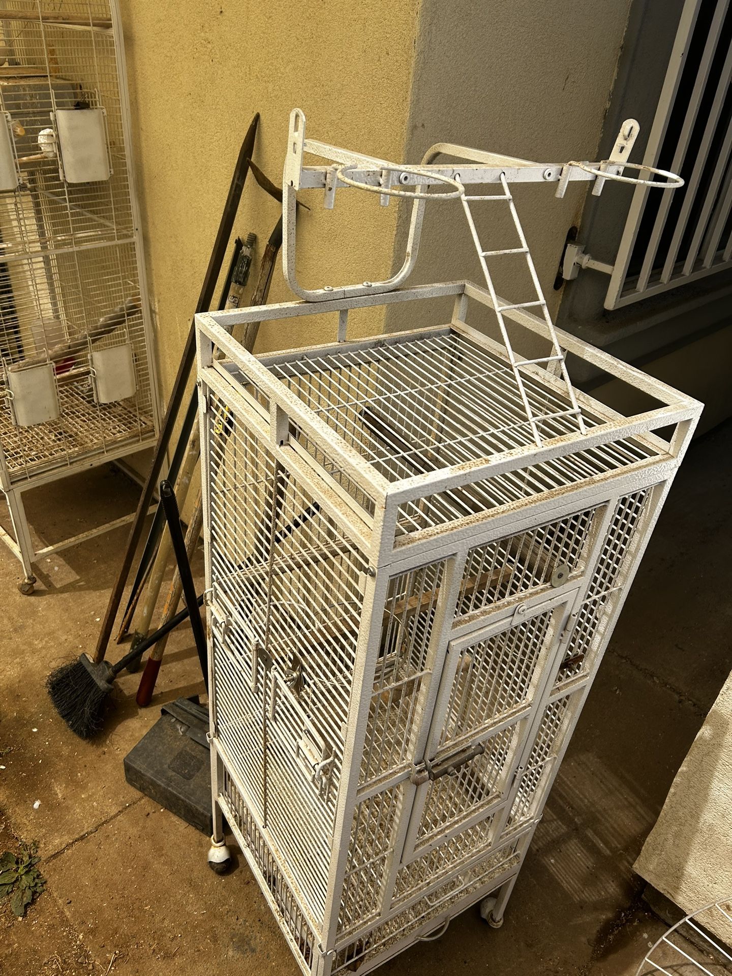White Bird Cage