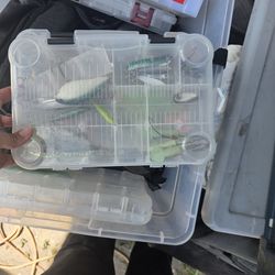 Fishing items and case