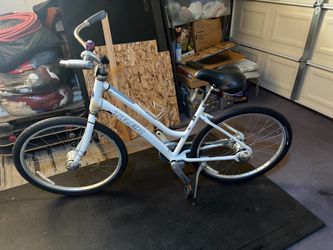 Trek bike